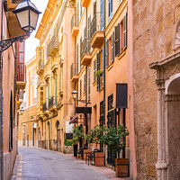 Buy canvas prints of Street at the old town of Palma Majorca by Alex Winter