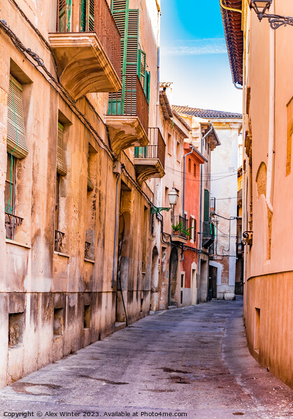 Narrow street, Palma de Majorca Picture Board by Alex Winter