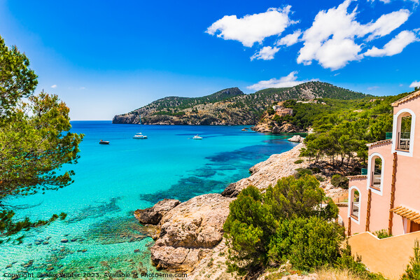 Idyllic sea view on Majorca Camp de Mar Picture Board by Alex Winter