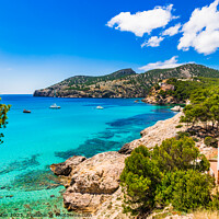 Buy canvas prints of Idyllic sea view on Majorca Camp de Mar by Alex Winter