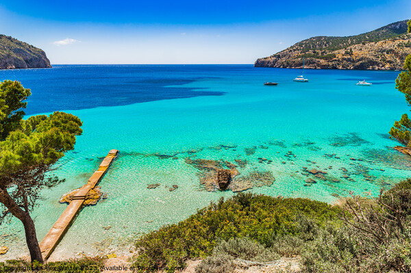 Camp de Mar Spain Majorca Balearic Islands Picture Board by Alex Winter