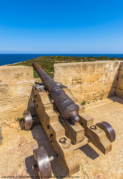 cannon at the coast of Mallorca Picture Board by Alex Winter
