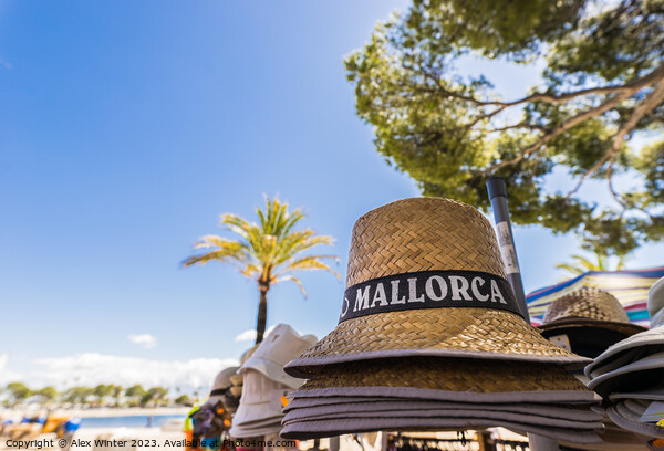 Summer sun hat mallorca Picture Board by Alex Winter