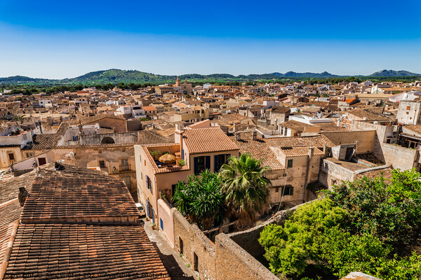 Over the roofs of the old town of Arta Picture Board by Alex Winter