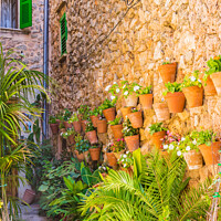 Buy canvas prints of Traditional flower pots decoration by Alex Winter