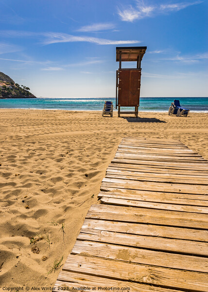 Majorca beach of Canyamel  Picture Board by Alex Winter