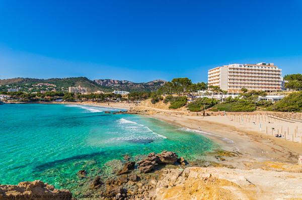 Beach Platja La Romana in Paguera Picture Board by Alex Winter