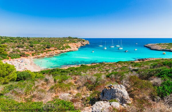 Majorca beach of Cala Varques Picture Board by Alex Winter