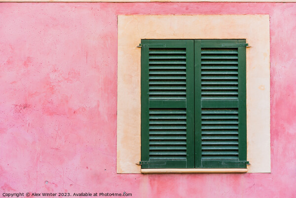 Green window shutters Picture Board by Alex Winter