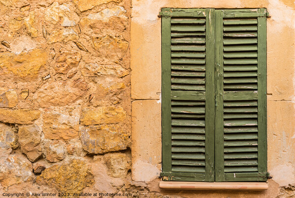 Old wooden window shutters Picture Board by Alex Winter