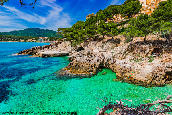 Spanish coastline  Picture Board by Alex Winter