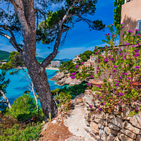 Buy canvas prints of Coast bay in Canyamel by Alex Winter