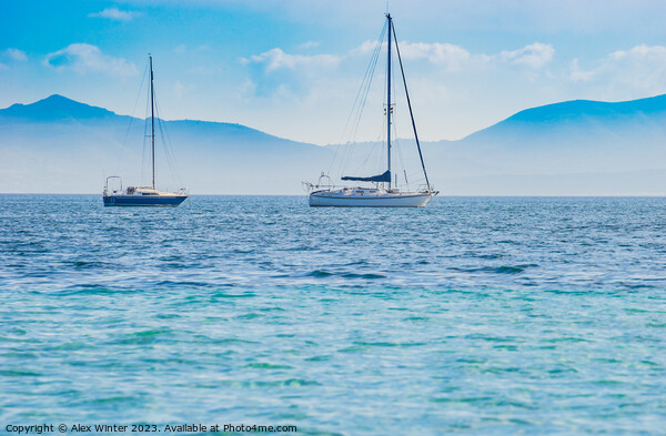 sailing yachts puerto pollensa Picture Board by Alex Winter