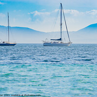 Buy canvas prints of sailing yachts puerto pollensa by Alex Winter