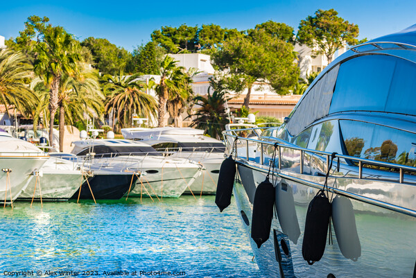 Marina of Cala D'or Picture Board by Alex Winter