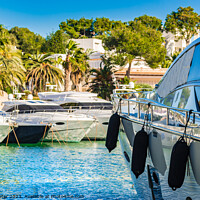 Buy canvas prints of Marina of Cala D'or by Alex Winter