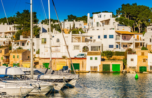 Harbor marina of Cala D'or Picture Board by Alex Winter