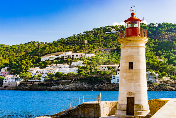 lighthouse in Port de Andratx Picture Board by Alex Winter
