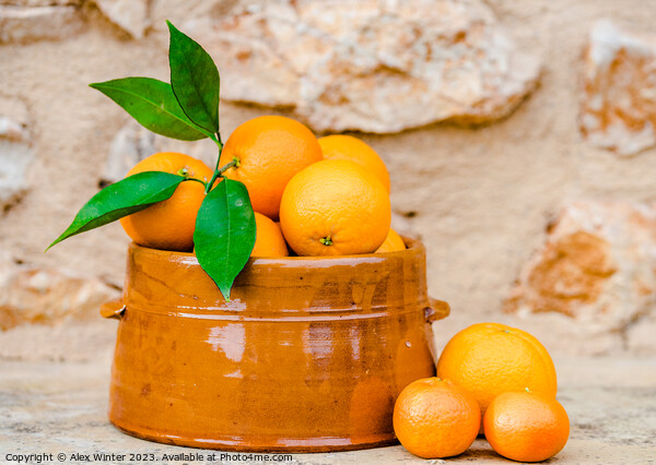 A bowl of oranges on a table Picture Board by Alex Winter