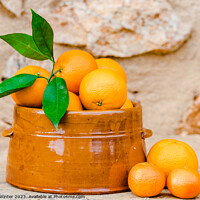 Buy canvas prints of A bowl of oranges on a table by Alex Winter