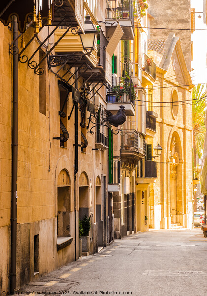 Street view in Palma de Majorca Picture Board by Alex Winter
