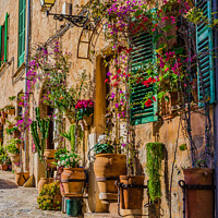 Buy canvas prints of mediterranean house with flowers and plants  by Alex Winter