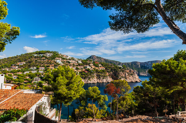 Island scenery on Mallorca Picture Board by Alex Winter