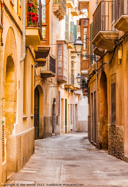 Street in the old town of Palma de Mallorca Picture Board by Alex Winter