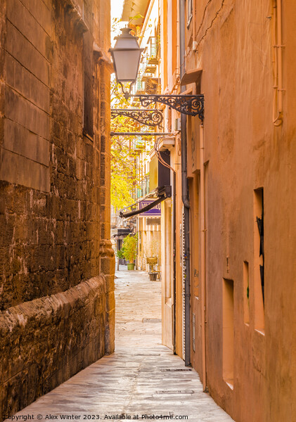 View of a narrow alley at the old town of Palma Picture Board by Alex Winter