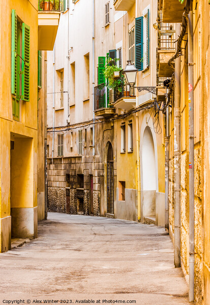 Narrow street at the old town of Palma de Mallorca Picture Board by Alex Winter