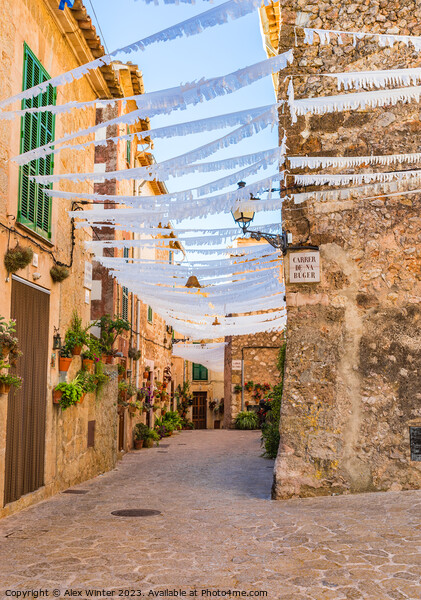Alley in old mediterranean village of Valldemossa Picture Board by Alex Winter