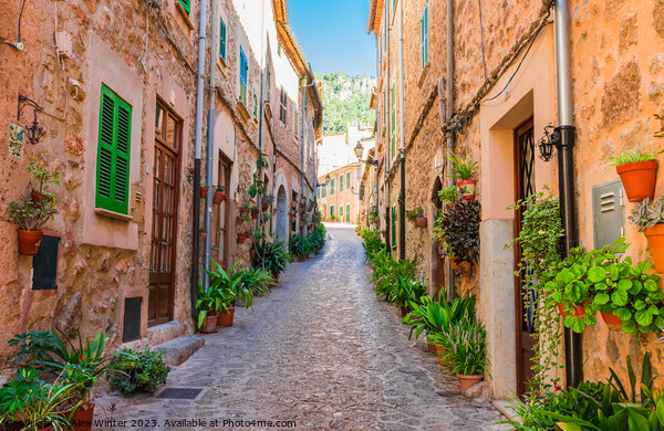 Beautiful street in the mediterranean village Picture Board by Alex Winter