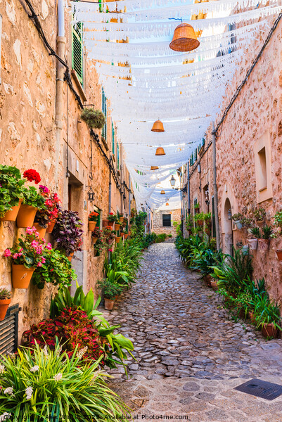 Beautiful street in the old village of Valldemossa Picture Board by Alex Winter