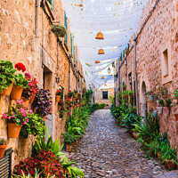 Buy canvas prints of Beautiful street in the old village of Valldemossa by Alex Winter