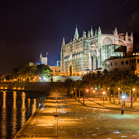 Buy canvas prints of Majorca Spain Gothic Majesty in the Dark by Alex Winter
