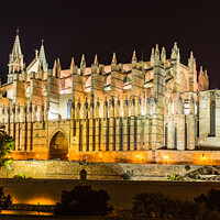 Buy canvas prints of Palma Cathedral by Alex Winter