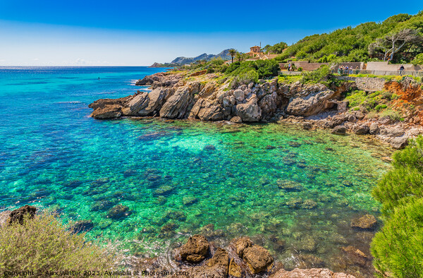 Idyllic view of the seaside in Cala Rajada Picture Board by Alex Winter