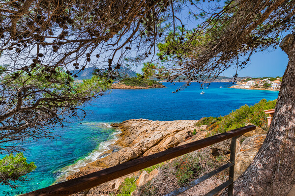 Sant Elm on Majorca island Picture Board by Alex Winter
