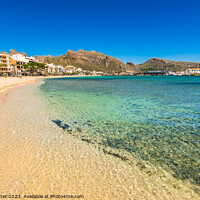 Buy canvas prints of Beautiful sand beach at bay of Pollensa by Alex Winter