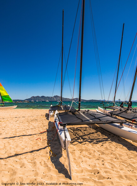 View of catamaran sailing boat at coast of sand be Picture Board by Alex Winter