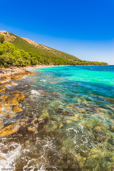 View of bay beach of Platja de Formentor Picture Board by Alex Winter
