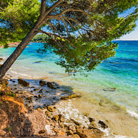 Buy canvas prints of Platja de Formentor, idyllic seaside on Mallorca by Alex Winter