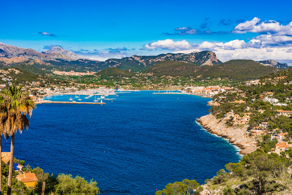 Port de Andratx on Mallorca Picture Board by Alex Winter