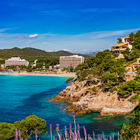 Buy canvas prints of Spain Mallorca by Alex Winter