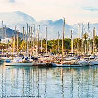 Buy canvas prints of View at the marina of Port de Pollensa on Mallorca by Alex Winter