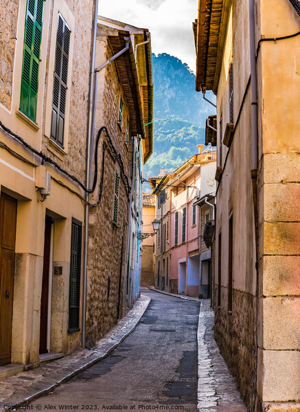 Soller on Majorca island Picture Board by Alex Winter