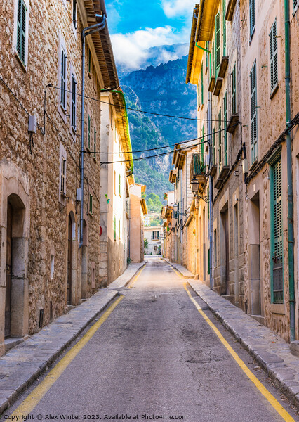 street at the old town of Soller Picture Board by Alex Winter