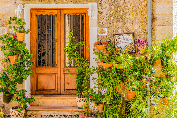 Typical potted plants village of Valldemossa Picture Board by Alex Winter