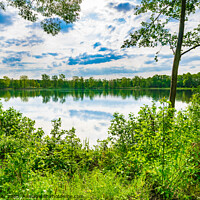 Buy canvas prints of Tranquil scene with lake and green trees by Alex Winter