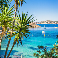 Buy canvas prints of Idyllic view of Cala Fornells by Alex Winter